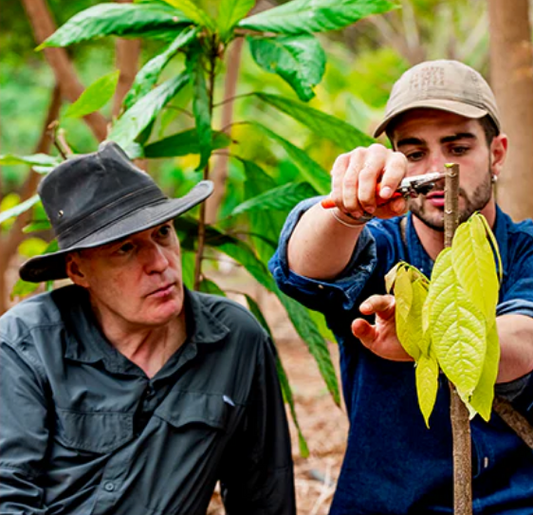 Bloomberg Report on Rising Cost of Cocoa