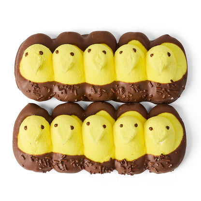 Two rows of milk chocolate-dipped yellow chick peeps on a white background