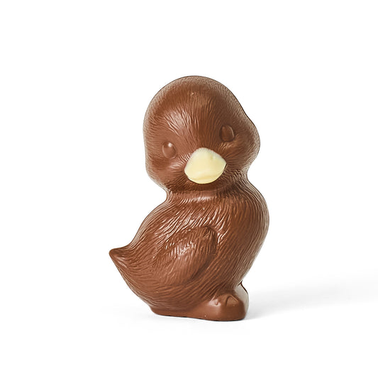 Milk Chocolate duckling on a white background